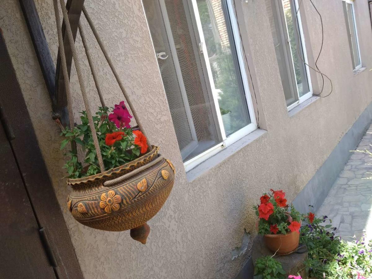 Saima Guest House オシ エクステリア 写真