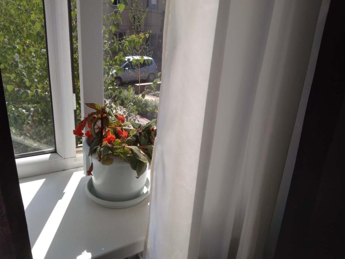 Saima Guest House オシ エクステリア 写真