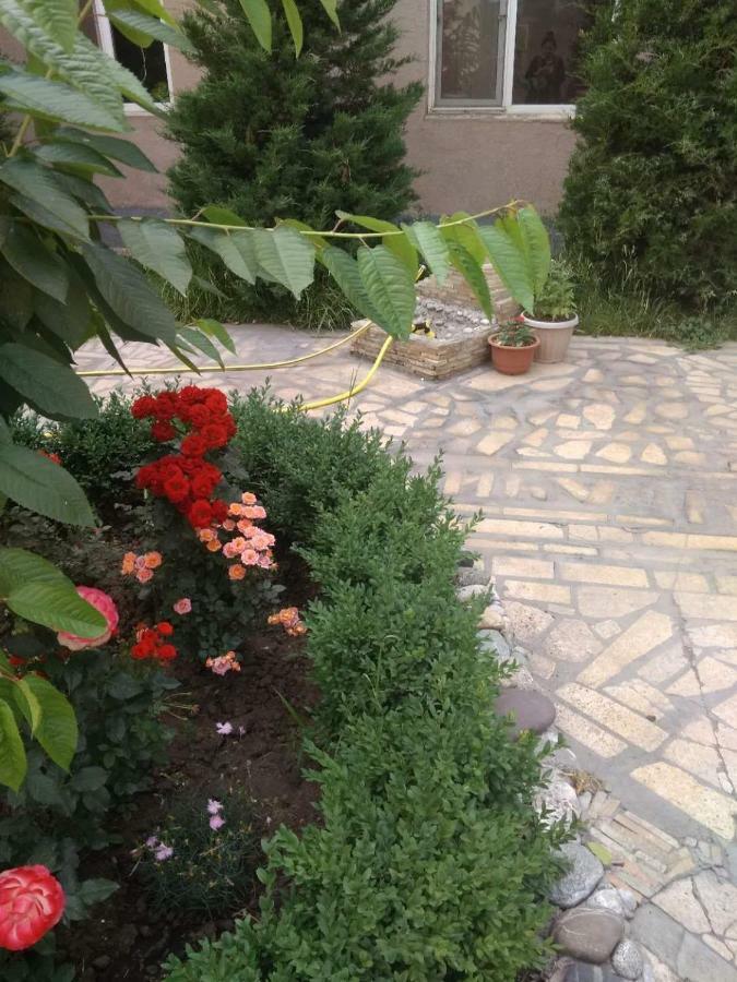Saima Guest House オシ エクステリア 写真